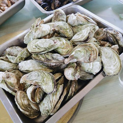 99视频在线播放界面